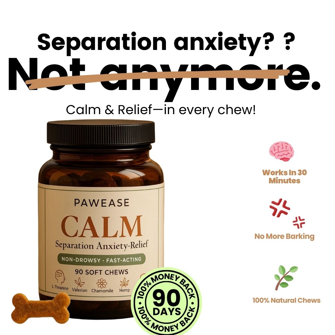 Pawease Calm - Dog Anxiety & Separation Anxiety Relief Chews | Non-Drowsy L-Theanine, Valerian & Chamomile (90 Soft Chews)