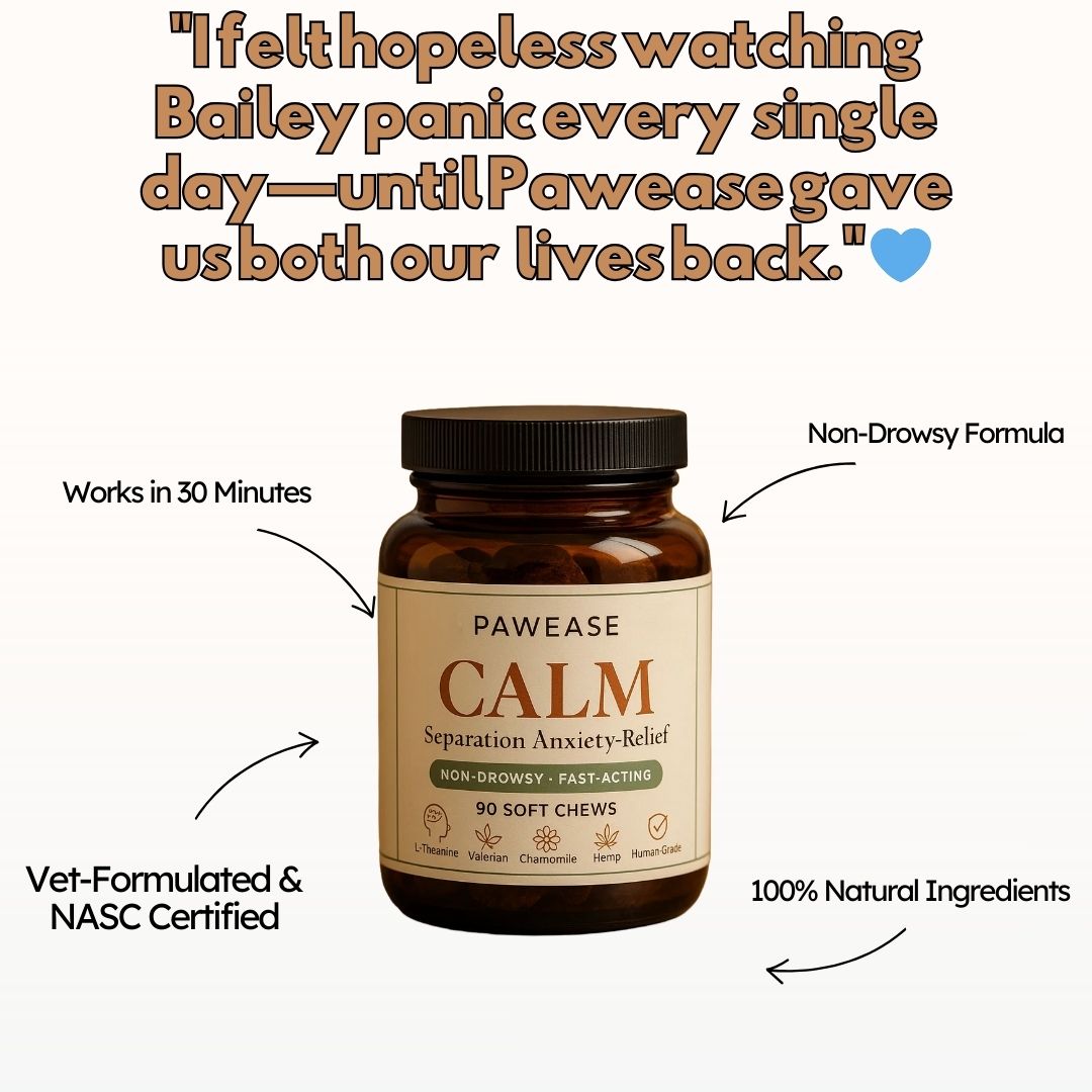 Pawease Calm - Dog Anxiety & Separation Anxiety Relief Chews | Non-Drowsy L-Theanine, Valerian & Chamomile (90 Soft Chews)