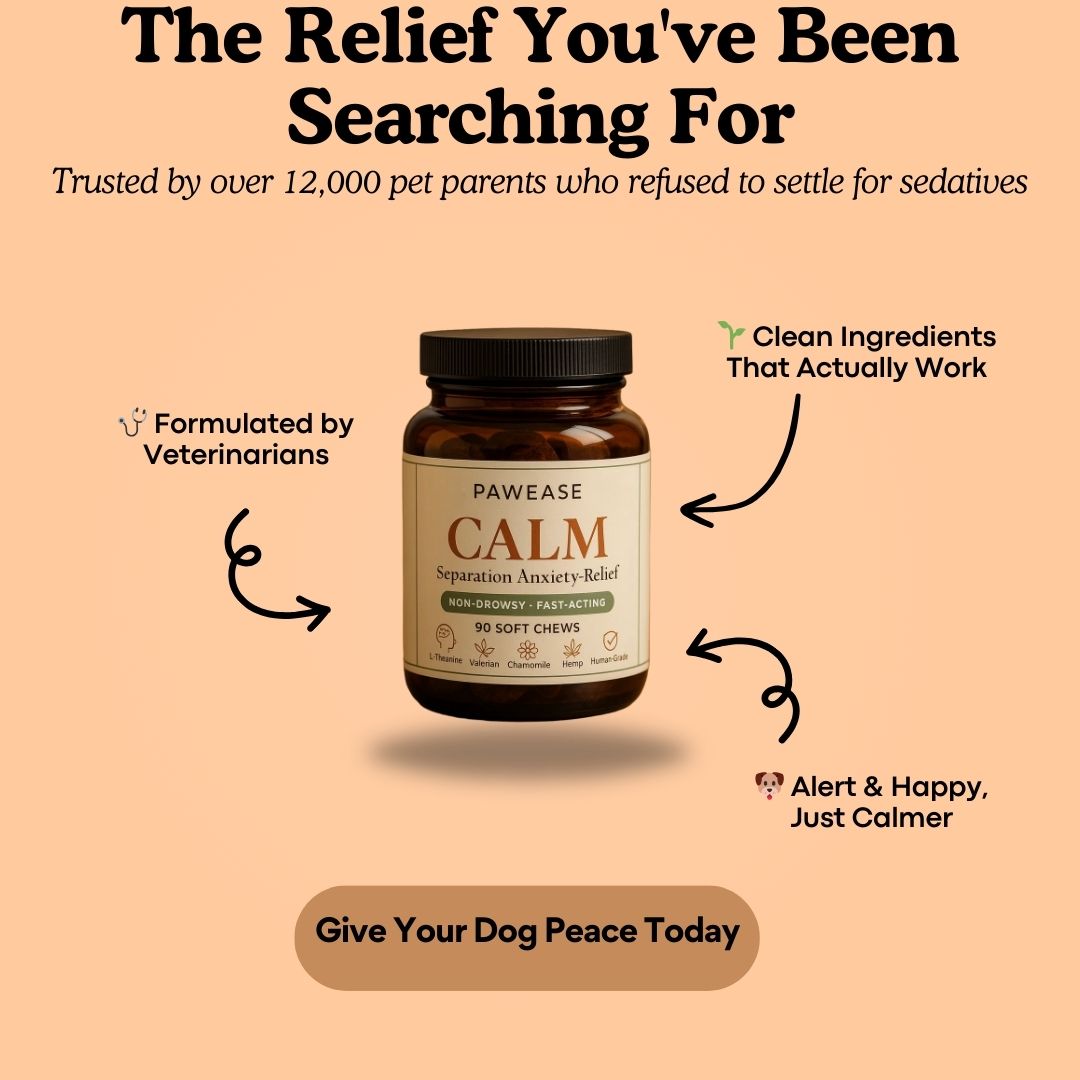 Pawease Calm - Dog Anxiety & Separation Anxiety Relief Chews | Non-Drowsy L-Theanine, Valerian & Chamomile (90 Soft Chews)