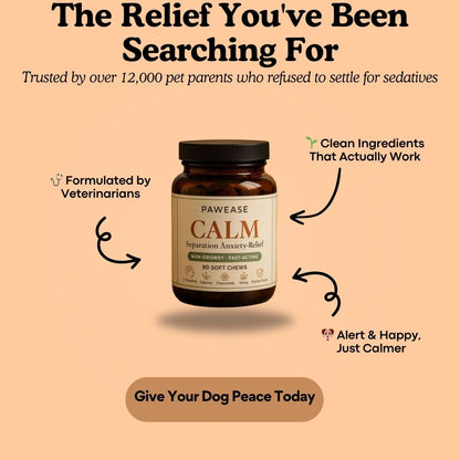 Pawease Calm - Dog Anxiety & Separation Anxiety Relief Chews | Non-Drowsy L-Theanine, Valerian & Chamomile (90 Soft Chews)