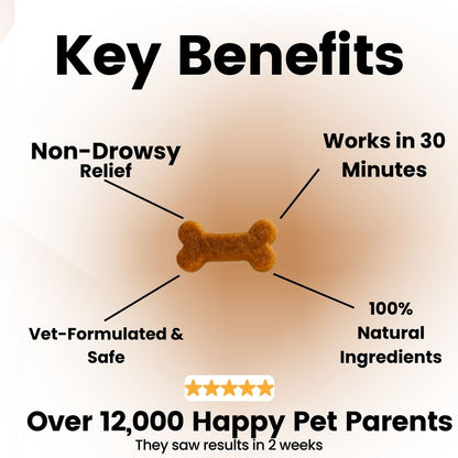 Pawease Calm - Dog Anxiety & Separation Anxiety Relief Chews | Non-Drowsy L-Theanine, Valerian & Chamomile (90 Soft Chews)