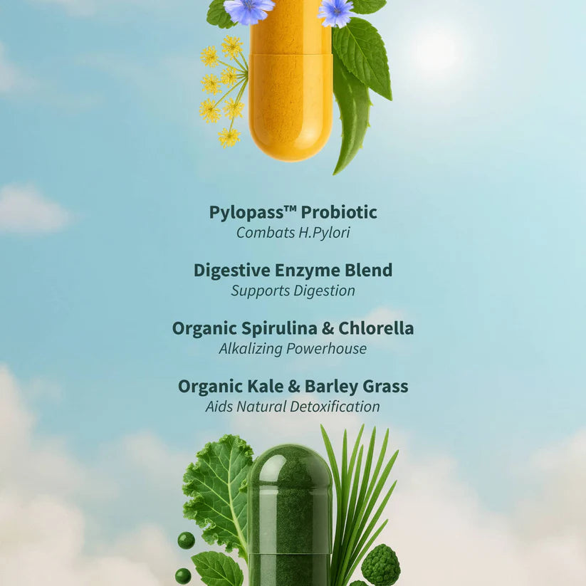Gastrohaven Gut Reset Complete Bundle