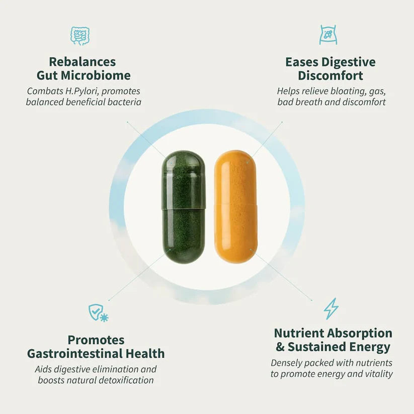 Gastrohaven Gut Reset Complete Bundle