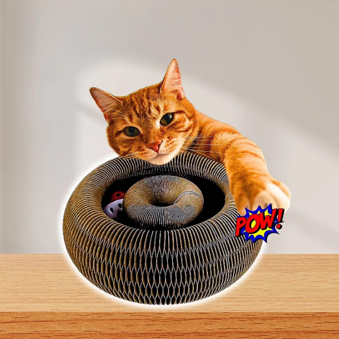 Interactive Cat Play, Scratch & Nest Toy