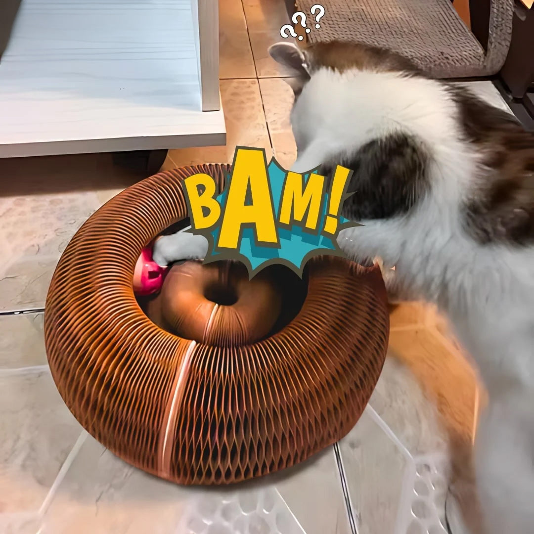 Interactive Cat Play, Scratch & Nest Toy