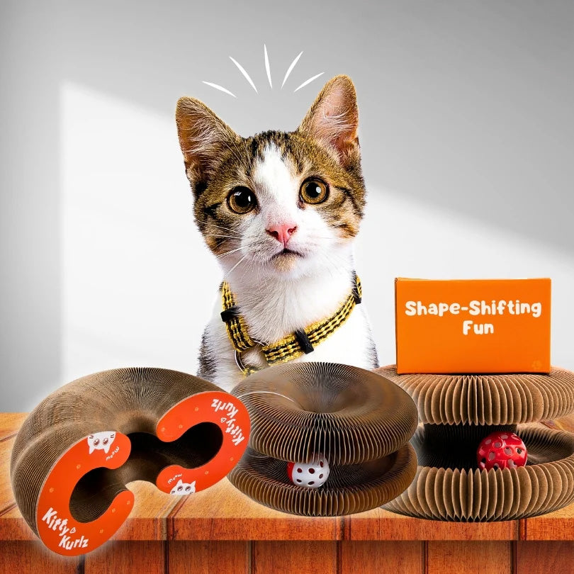 Interactive Cat Play, Scratch & Nest Toy