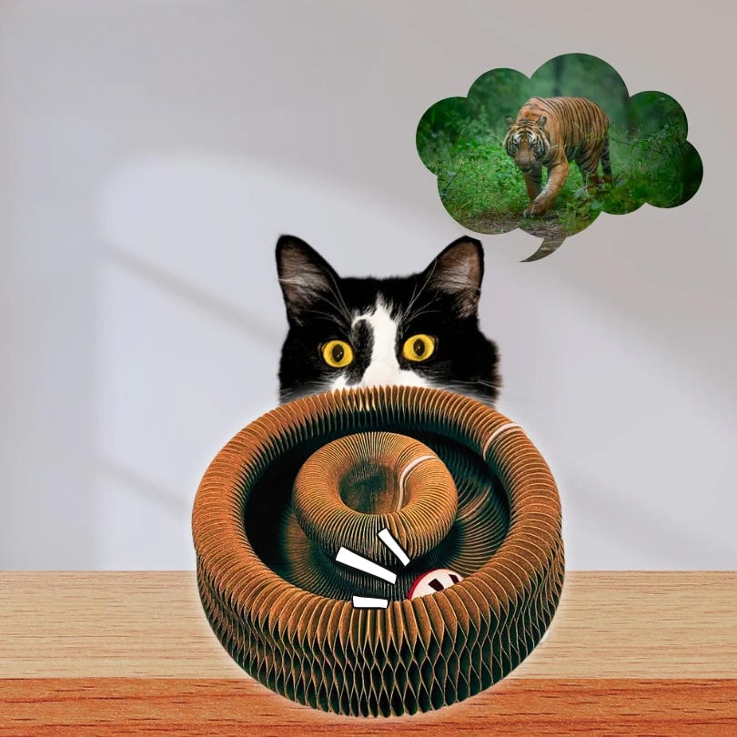 Interactive Cat Play, Scratch & Nest Toy